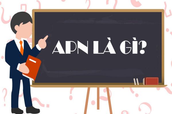 apn-la-gi