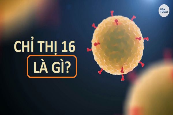chi-thi-16-la-gi
