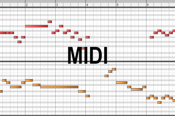 file-midi-la-gi