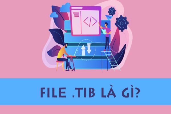 file-tib-la-gi