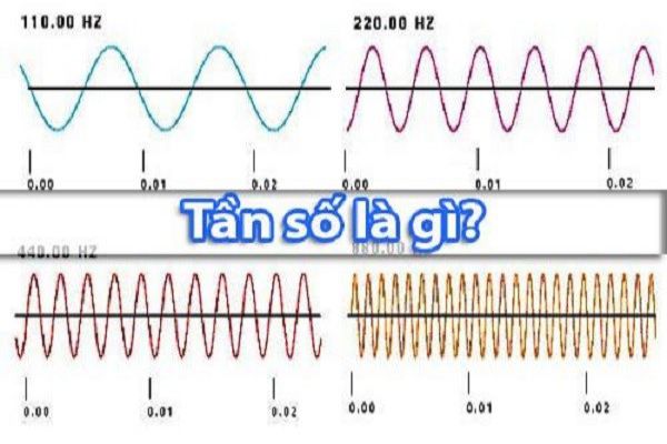 hz-la-gi