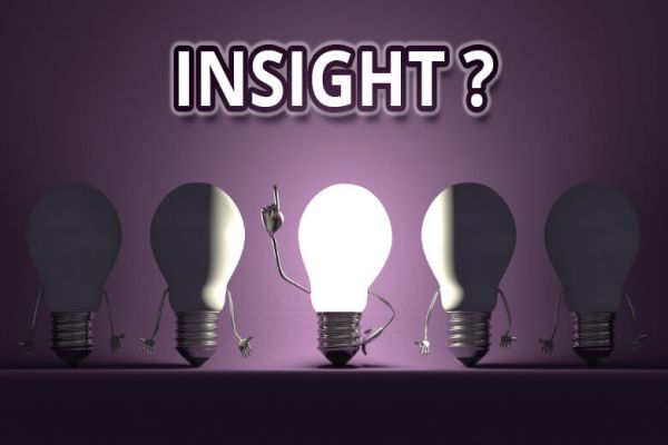 insight-la-gi