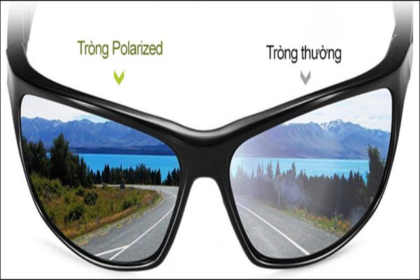 mat-kinh-phan-cuc-polarized-la-gi