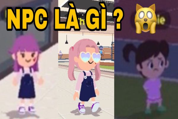 npc-la-gi