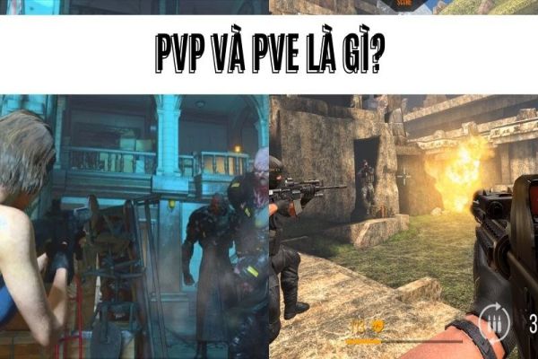 pvp-la-gi