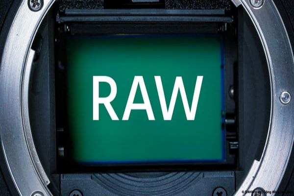 raw-la-gi