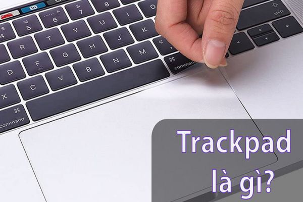 trackpad-la-gi